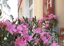 Hotel des Alpes 2