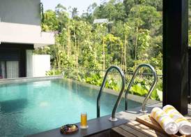 Scenic, Munnar - IHCL SeleQtions 4
