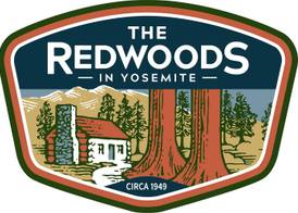 The Redwoods In Yosemite 3