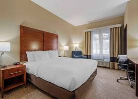 Comfort Inn & Suites 5