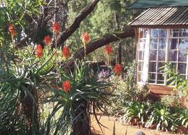 Woodland Gardens Self-Catering & Pet-Friendly Lodge 4