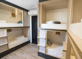 Cats Hostel San Sebastian 2