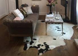 Purple Dog Suites 4