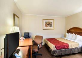 Econo Lodge Inn & Suites West of Boston 4