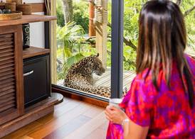 Parrot World - Les Lodges 3