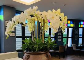 Baba House Phuket Hotel 3