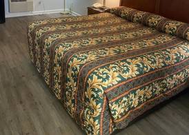 Savannah Lodge 4