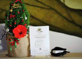 Lasenta Boutique Hotel Hoian 3