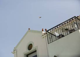 Olive Tree Apartments 3