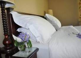 Plumbago Guest House 5