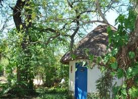 Blue Cottages 3