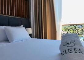 Vinea Resort 5