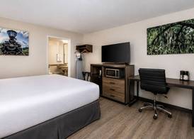 The Cypress Landing 2