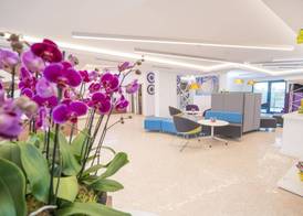 Studio One Accommodation Suites 2