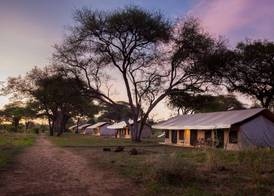 Baobab Tented Camp 2