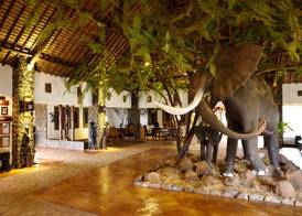 Wellworth Lake Manyara Kilimamoja Lodge 2
