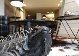 Neko Boutique Hotel 3