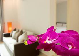 La Belle Residence 4