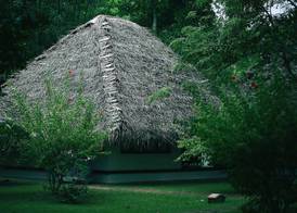 Marari Beach Resort Alleppey - A CGH Earth Experience 4