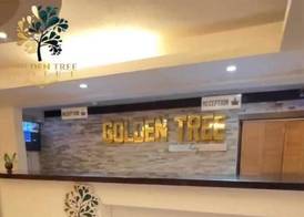 Golden Tree Hotel Belize 4