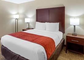 Comfort Inn Hoffman Estates - Schaumburg 4