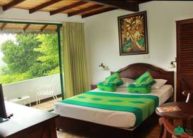 Tree of Life Nature Resort 4
