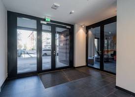 Homaris Kreuzberg 61 2