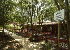 Wild Camp- The Nature Resort 4