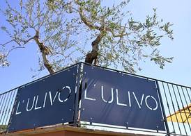 Il Borgo Dell'Ulivo 5