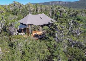 Kariega Game Reserve Settlers Drift 3
