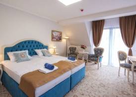 Hotel Paryski Art & Business Zakopane - Basen Jacuzzi Sauna Małpi Gaj 4