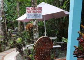 La Posada Jungle Hotel 3