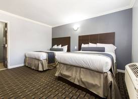 Hollywood Palms Inn and Suites 3