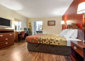 Econo Lodge Cortland Downtown 5