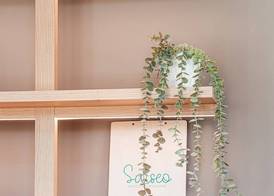 Atenea Living 5