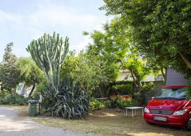 Camping Degli Ulivi 5