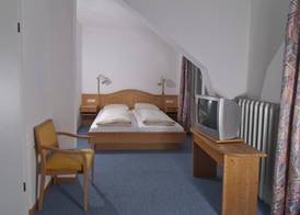 Action Forest Hotel 3