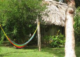 Clarissa Falls Resort 5