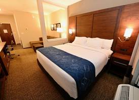 Comfort Suites Newnan 5