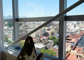 Design Suites Salta 2