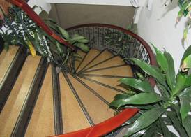 Hotel Ejecutivo 2