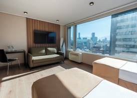 Hotel Terrado Lyon 4