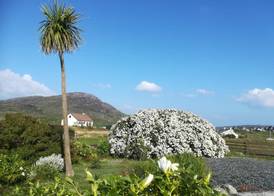 Brae Lea House, Lochboisdale, South Uist. Outer Hebrides 5