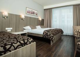 Wellness Hotel Step - Czech Leading Hotels 3