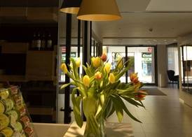 Solho Hotel 2