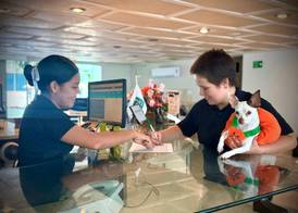 Quality Inn Mazatlan 4