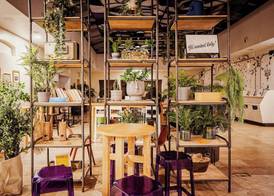 Wombat's City Hostel Budapest 2