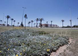 Apartamentos H3 Laguna-Playa 4