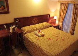 Lion's Hotel 5