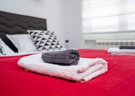 Bright 1BDR Apartment in the City Center 3